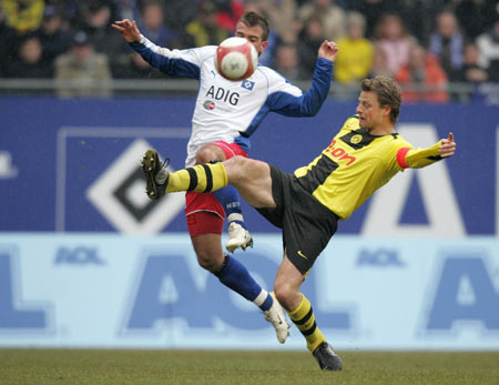 多元化的体 多元化的体