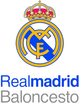 球作为一项 球作为一项