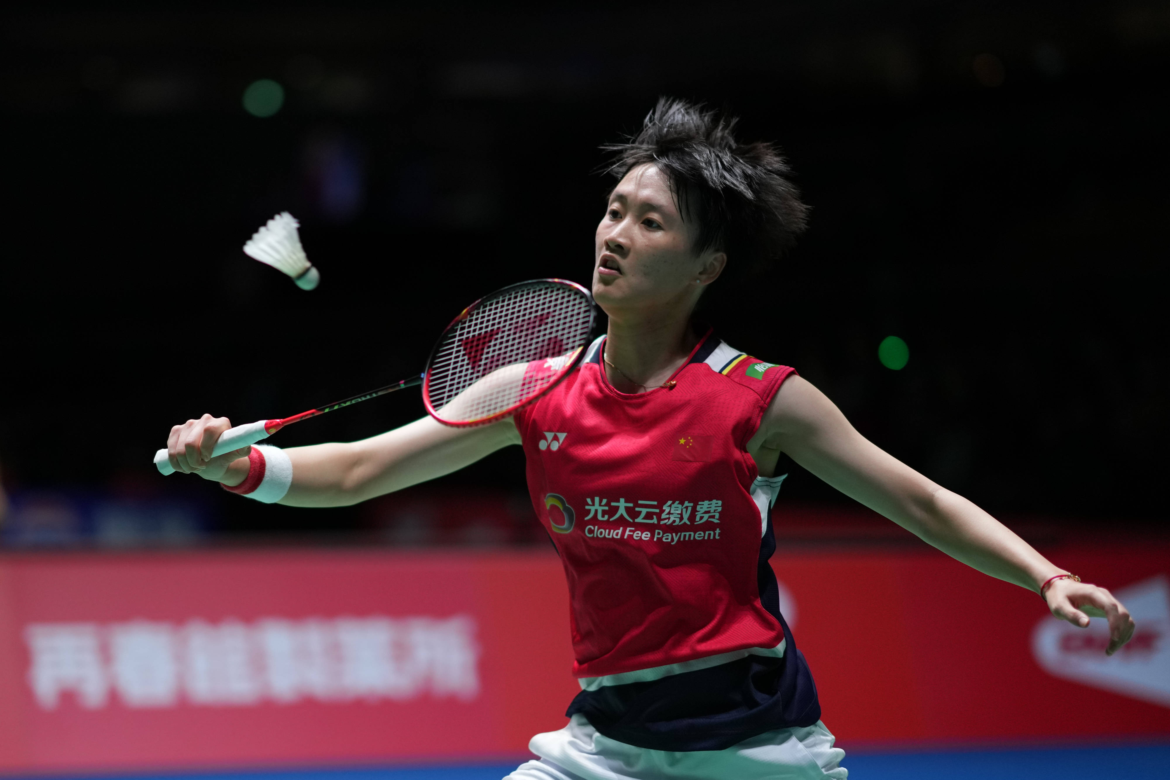 索与投入 索与投入