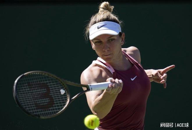 迷的认可 迷的认可