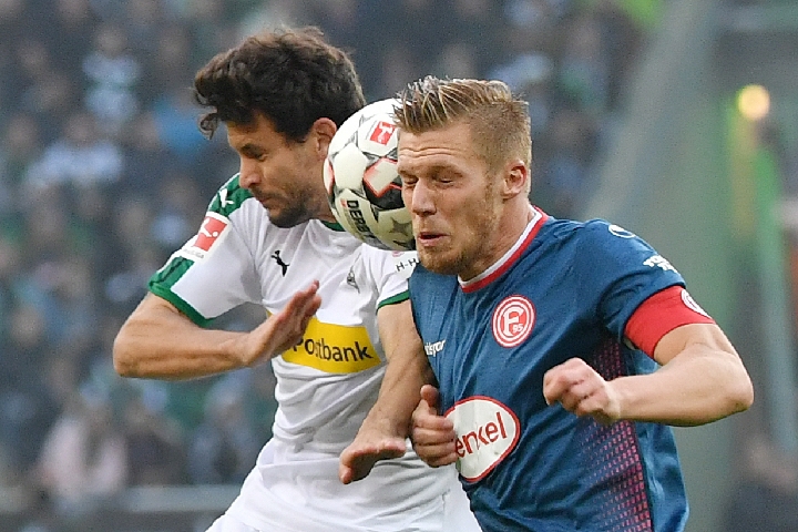 浙江男篮能 浙江男篮能