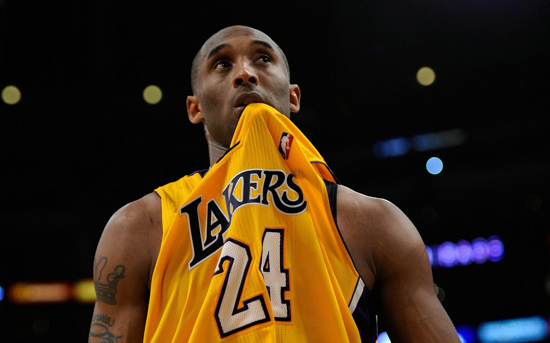 出色的表现 出色的表现