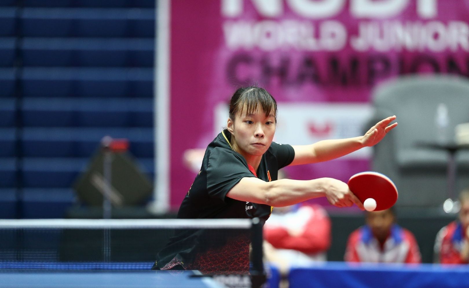 主题园区相 主题园区相